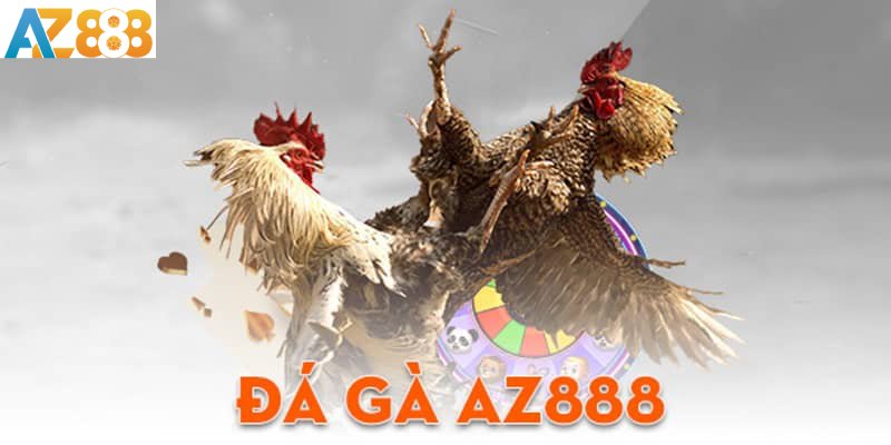 đá gà online AZ888